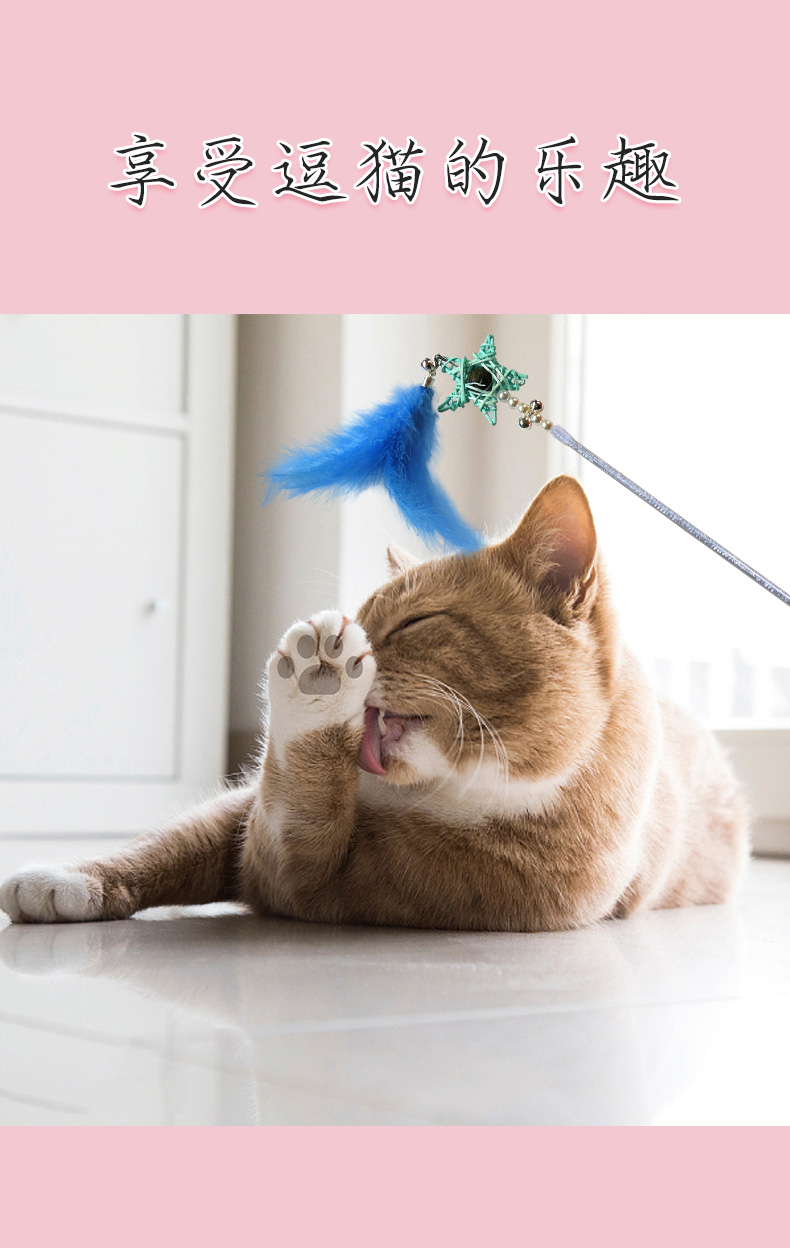 宠物用品,猫薄荷球,猫玩具