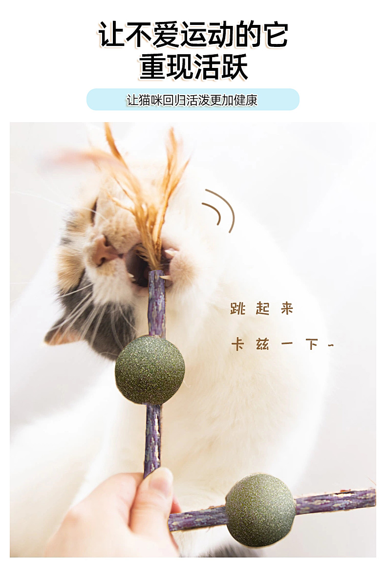 宠物用品,猫薄荷球,猫玩具